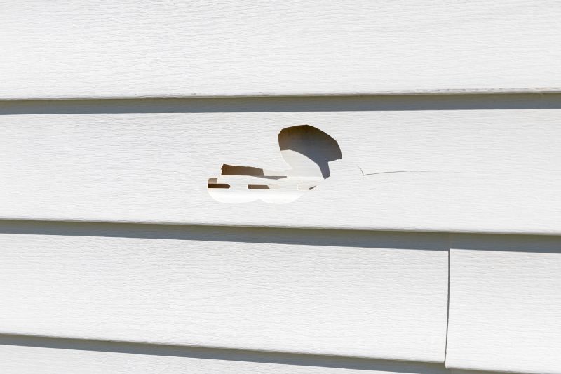 Fixing Loose Siding Sections